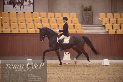 Blue Hors
dressur 4års trøstfinale
Nøgleord: donkey king;anders uve sjøbeck hoeck