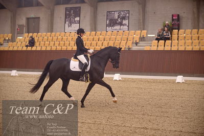 Blue Hors
dressur 4års trøstfinale
Nøgleord: silje bakke;st solution-