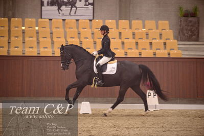 Blue Hors
dressur 4års trøstfinale
Nøgleord: silje bakke;st solution-