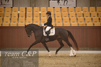 Blue Hors
dressur 4års trøstfinale
Nøgleord: selina solberg vittinghus;atterupgaards delahaye