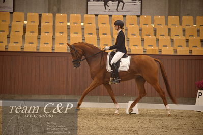 Blue Hors
dressur 4års trøstfinale
Nøgleord: camilla ahlers pedersen;plushorses pinklady