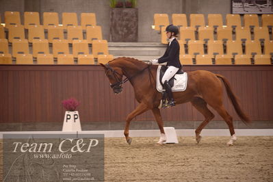 Blue Hors
dressur 4års trøstfinale
Nøgleord: camilla ahlers pedersen;plushorses pinklady