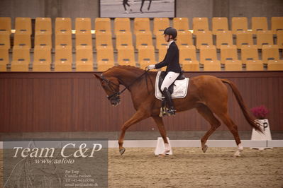 Blue Hors
dressur 4års trøstfinale
Nøgleord: camilla ahlers pedersen;plushorses pinklady