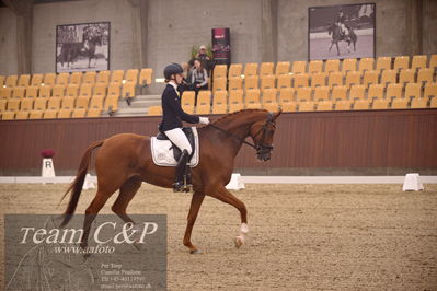 Blue Hors
dressur 4års trøstfinale
Nøgleord: camilla ahlers pedersen;plushorses pinklady
