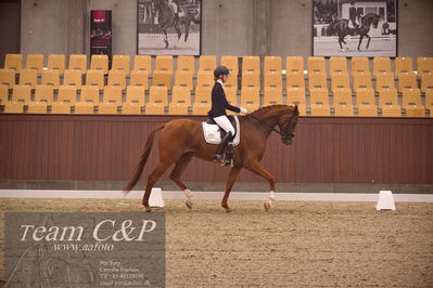 Blue Hors
dressur 4års trøstfinale
Nøgleord: camilla ahlers pedersen;plushorses pinklady