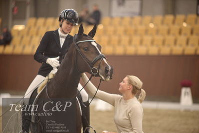 Blue Hors
dressur 4års trøstfinale
Nøgleord: atterupgaards delahaye;selina solberg vittinghus;blod