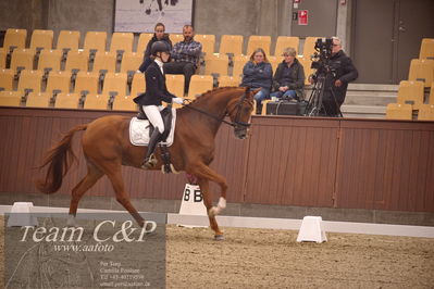 Blue Hors
dressur 4års trøstfinale
Nøgleord: camilla ahlers pedersen;plushorses pinklady