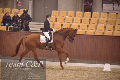 Blue Hors
dressur 4års trøstfinale
Nøgleord: camilla ahlers pedersen;plushorses pinklady