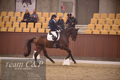 Blue Hors
dressur 4års trøstfinale
Nøgleord: tania m joensen;vento