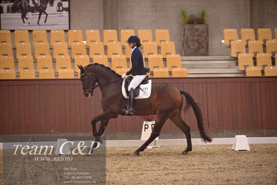 Blue Hors
dressur 4års trøstfinale
Nøgleord: tania m joensen;vento