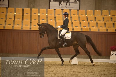 Blue Hors
dressur 4års trøstfinale
Nøgleord: amerita hagen;fan amour