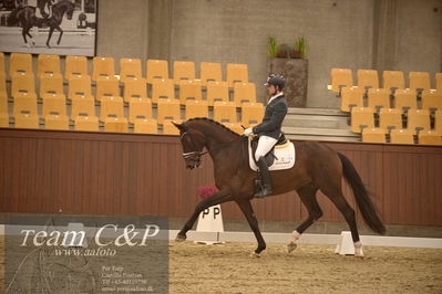 Blue Hors
dressur 4års trøstfinale
Nøgleord: amerita hagen;fan amour