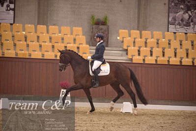 Blue Hors
dressur 4års trøstfinale
Nøgleord: moises jover azuar;qamar