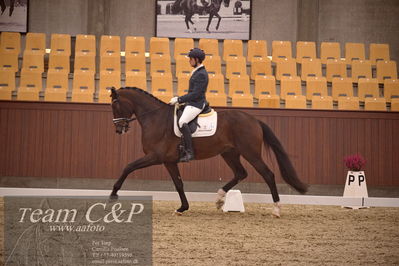 Blue Hors
dressur 4års trøstfinale
Nøgleord: amerita hagen;fan amour