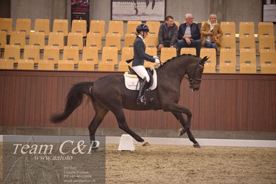 Blue Hors
dressur 4års trøstfinale
Nøgleord: amerita hagen;fan amour