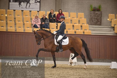 Blue Hors
dressur 4års trøstfinale
Nøgleord: eric guardia marrtinez;slangerupgaards flottenheimer