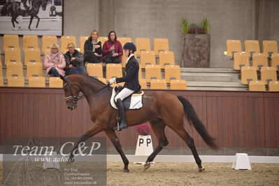 Blue Hors
dressur 4års trøstfinale
Nøgleord: anders uve sjøbeck hoeck;lohmanns sagoson