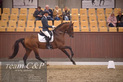 Blue Hors
dressur 4års trøstfinale
Nøgleord: eric guardia marrtinez;slangerupgaards flottenheimer