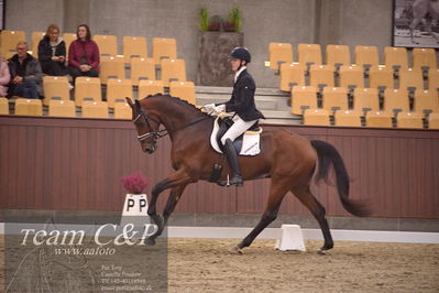 Blue Hors
dressur 4års trøstfinale
Nøgleord: anders uve sjøbeck hoeck;lohmanns sagoson