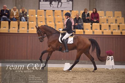Blue Hors
dressur 4års trøstfinale
Nøgleord: anders uve sjøbeck hoeck;lohmanns sagoson