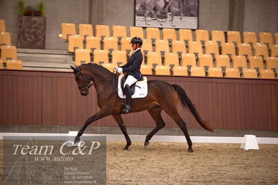 Blue Hors
dressur 4års trøstfinale
Nøgleord: anne-marie hosbond;danesa nord