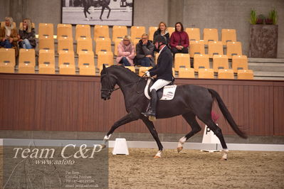 Blue Hors
dressur 4års trøstfinale
Nøgleord: michael søgaard;søbakkehus duffy