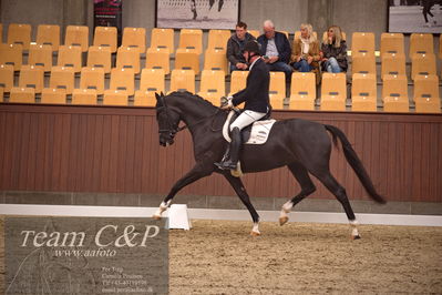 Blue Hors
dressur 4års trøstfinale
Nøgleord: michael søgaard;søbakkehus duffy