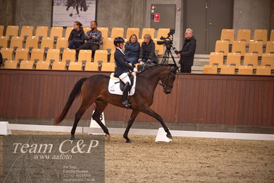 Blue Hors
dressur 4års trøstfinale
Nøgleord: anne-marie hosbond;danesa nord