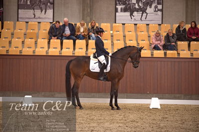 Blue Hors
dressur 4års trøstfinale
Nøgleord: anne-marie hosbond;danesa nord