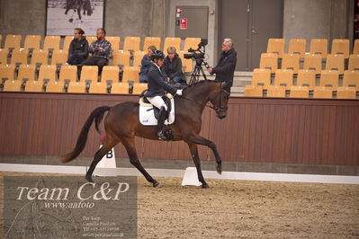 Blue Hors
dressur 4års trøstfinale
Nøgleord: anne-marie hosbond;danesa nord