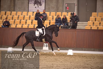 Blue Hors
dressur 4års trøstfinale
Nøgleord: michael søgaard;søbakkehus duffy