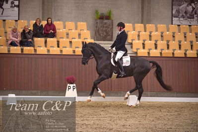 Blue Hors
dressur 4års trøstfinale
Nøgleord: michael søgaard;søbakkehus duffy
