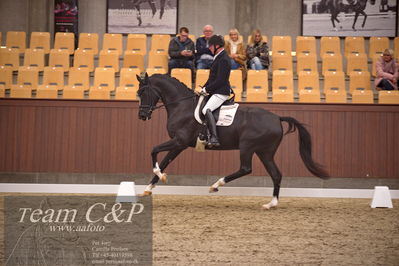 Blue Hors
dressur 4års trøstfinale
Nøgleord: michael søgaard;søbakkehus duffy