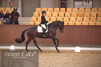 Blue Hors
dressur 4års trøstfinale
Nøgleord: selina solberg vittinghus;atterupgaards damaskus