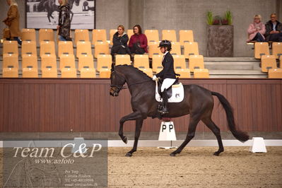 Blue Hors
dressur 4års trøstfinale
Nøgleord: selina solberg vittinghus;atterupgaards damaskus
