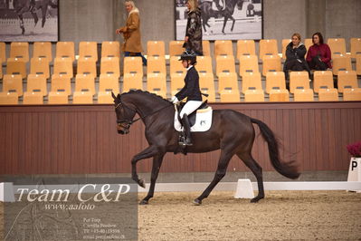 Blue Hors
dressur 4års trøstfinale
Nøgleord: selina solberg vittinghus;atterupgaards damaskus
