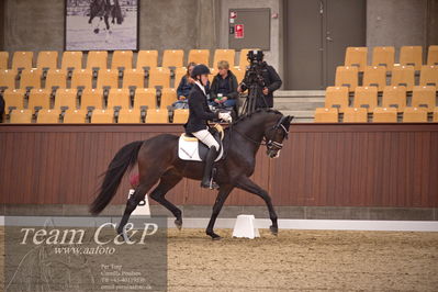 Blue Hors
dressur 4års trøstfinale
Nøgleord: anders uve sjøbeck hoeck;hesselhoej double up