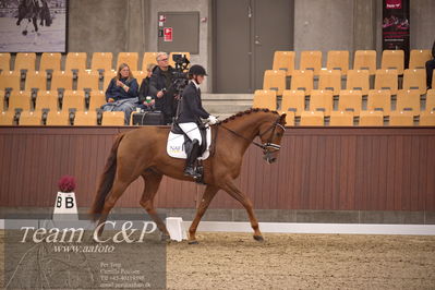 Blue Hors
dressur 4års trøstfinale
