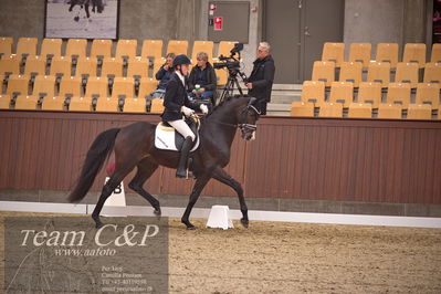 Blue Hors
dressur 4års trøstfinale
Nøgleord: anders uve sjøbeck hoeck;hesselhoej double up