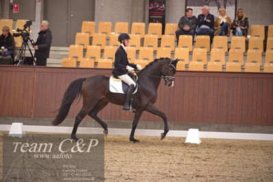 Blue Hors
dressur 4års trøstfinale
Nøgleord: anders uve sjøbeck hoeck;hesselhoej double up