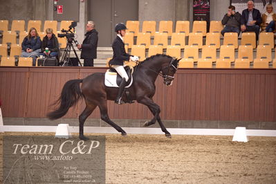 Blue Hors
dressur 4års trøstfinale
Nøgleord: anders uve sjøbeck hoeck;hesselhoej double up