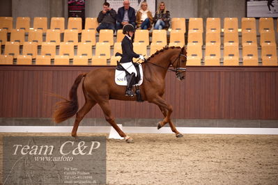 Blue Hors
dressur 4års trøstfinale
