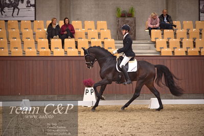 Blue Hors
dressur 4års trøstfinale
Nøgleord: anders uve sjøbeck hoeck;hesselhoej double up