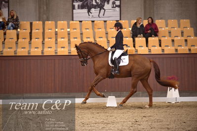 Blue Hors
dressur 4års trøstfinale
