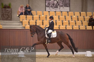 Blue Hors
dressur 4års trøstfinale
Nøgleord: mette sejbjerg jensen;faretti dwb
