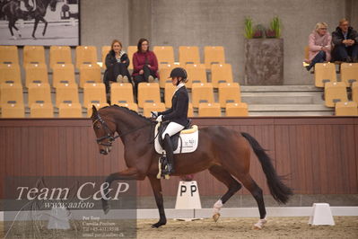 Blue Hors
dressur 4års trøstfinale
Nøgleord: mette sejbjerg jensen;faretti dwb