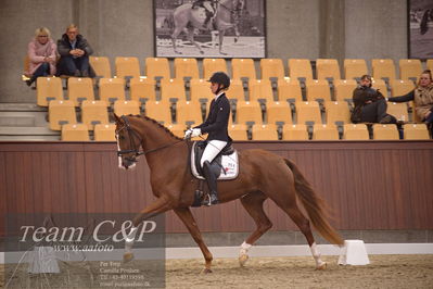 Blue Hors
dressur 4års trøstfinale
Nøgleord: kathrine springborg;springborgs abiza