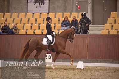 Blue Hors
dressur 4års trøstfinale
Nøgleord: kathrine springborg;springborgs abiza