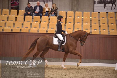 Blue Hors
dressur 4års trøstfinale
Nøgleord: kathrine springborg;springborgs abiza