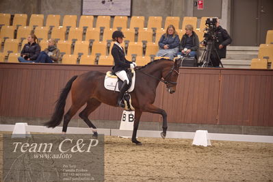 Blue Hors
dressur 4års trøstfinale
Nøgleord: mette sejbjerg jensen;faretti dwb